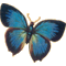 K�klepke